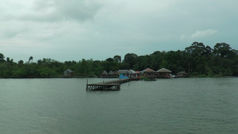 IMG_20210306_22095582