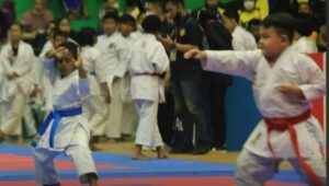 IMG_20211029_223621_compress52