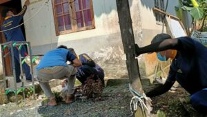 IMG_20220402_125031_compress70