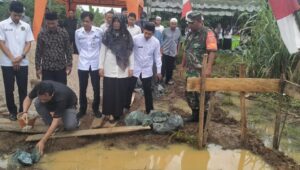 IMG_20220629_224733_compress13