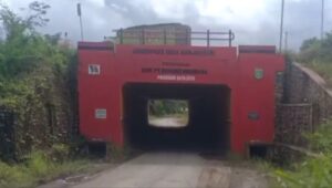 IMG_20220716_165400_compress94