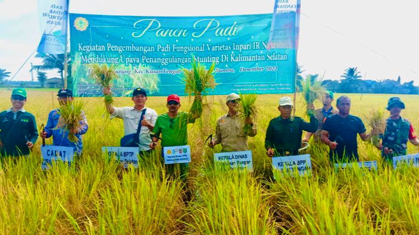 Jadi Percontohan, Panen Penangkaran Padi IR Nutri Zinc
