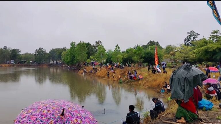 Screenshot_2023-02-27-11-26-23-628_com.miui.gallery-edit