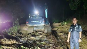 1000407895-800x639~2