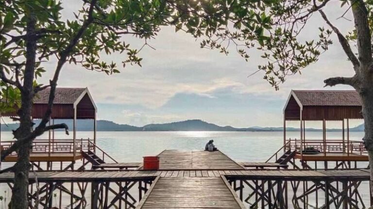 mangrove1-800x597~2