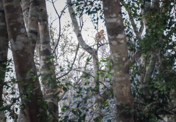 IMG_7079-1536x864