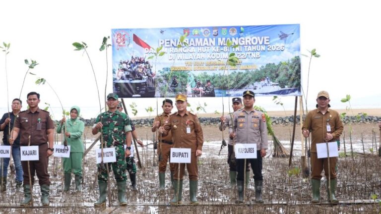 tanah-bumbu-tanam-1000-mangrove-hut-81-tni.jpg-1024x682